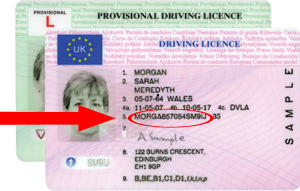 what is my driver's license number